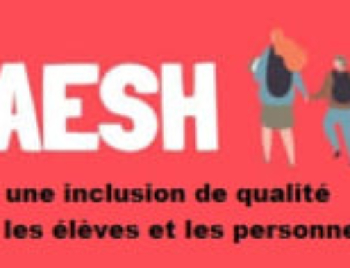 La FSU, la CGT éduc’action, FNEC FP-FO et SUD éducation interpellent la rectrice sur la baisse du nombre d’heures de prise en charge des élèves en aide mutualisée