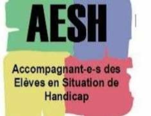 Stage AESH 30 janvier 2025